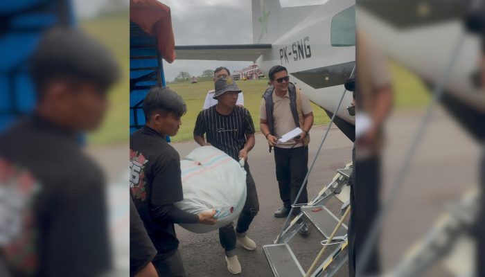 492 Ton Cabai Aceh Tengah Dikirim via Transportasi Udara