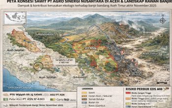 Ketika Negara Menjadi Pemilik Risiko