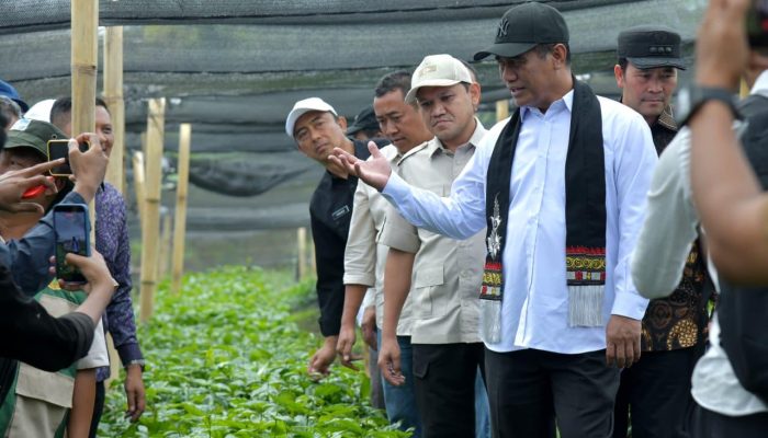 Wagub Aceh: Dukungan Pemerintah Pusat Perkuat Sektor Pertanian dan Kopi Gayo